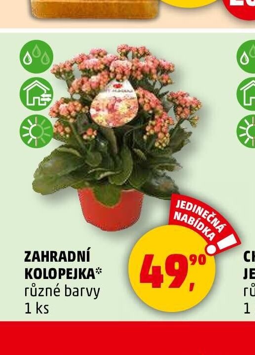 ZAHRADNÍ KOLOPEJKA