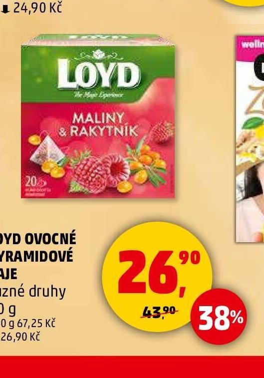 Loyd ovocné pyramidové čaje 40 g