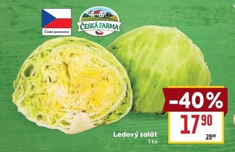 Salát ledový Česká farma