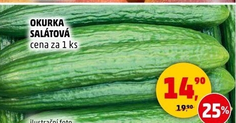 Okurka salátová - hadovka