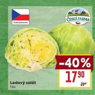 Salát ledový Česká farma