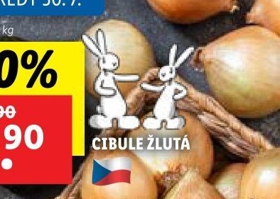 CIBULE ŽLUTÁ