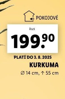 Kurkuma