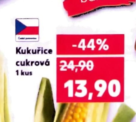 Kukuřice cukrová