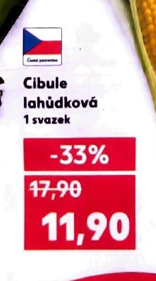 Cibule lahůdková