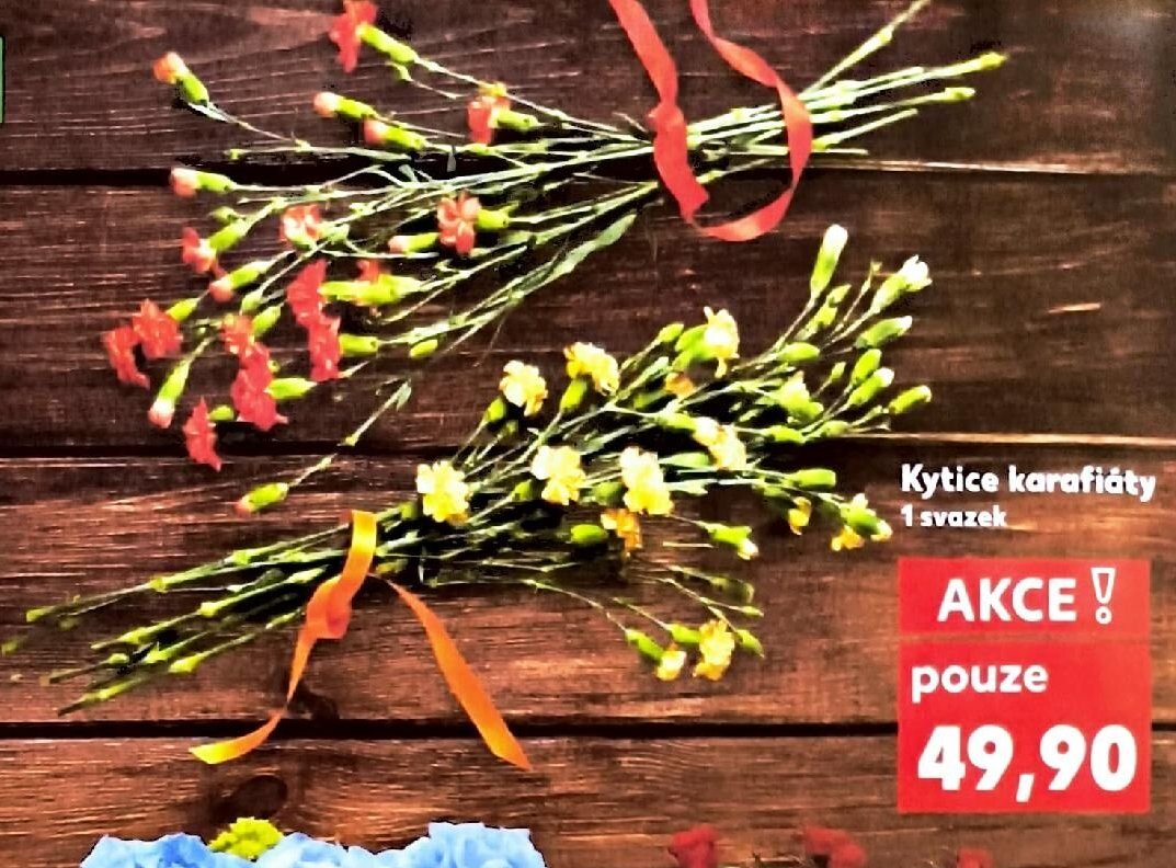 Kytice karafiáty