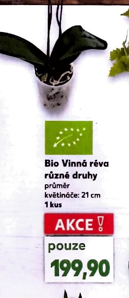 Bio Vinná réva