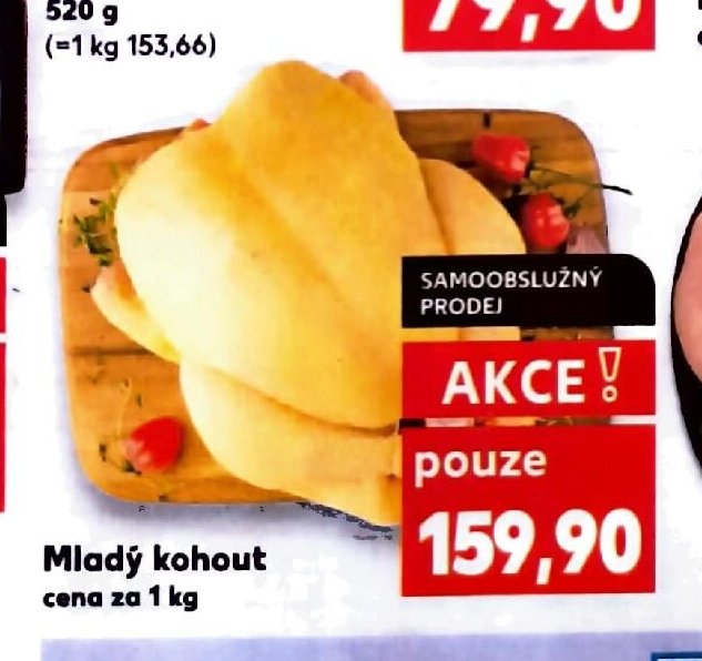 Mladý kohout
