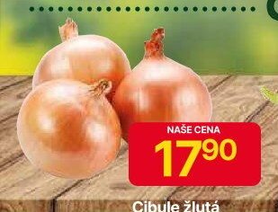 Cibule žlutá
