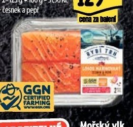 Losos marinovaný - filet s kůží