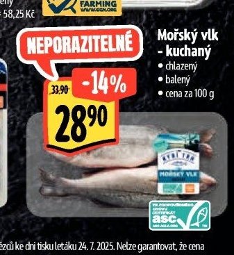 Mořský vlk - kuchaný