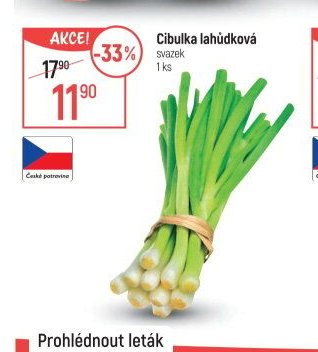 Cibulka lahůdková svazek