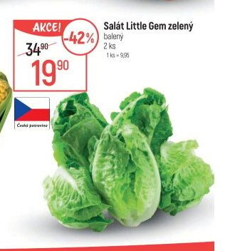 Salát Little Gem zelený balený