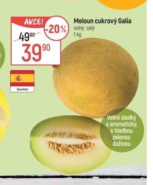 Meloun cukrový Galia