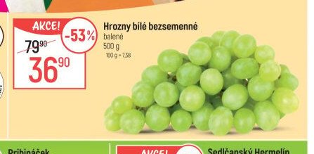 Hrozny bílé bezsemenné