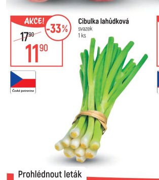 Cibulka lahůdková