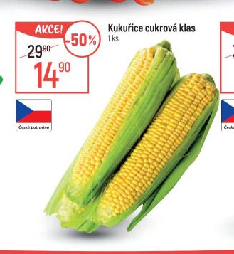 Kukuřice cukrová klas