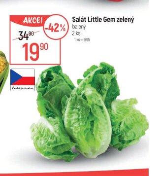 Salát Little Gem zelený