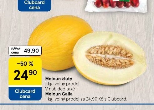 Meloun žlutý / Meloun Galia
