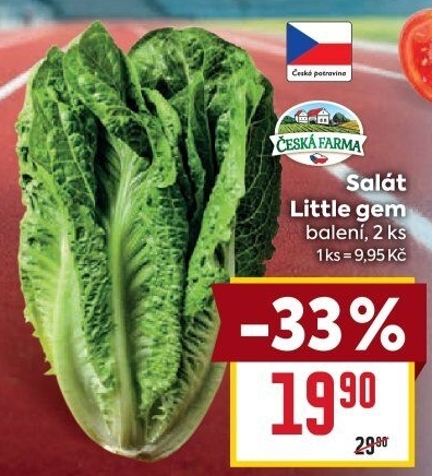Salát little gem Česká farma