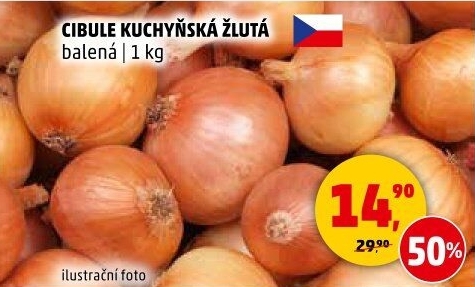 Cibule kuchyňská žlutá