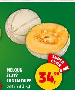 Meloun Cantaloupe