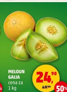 Meloun Galia