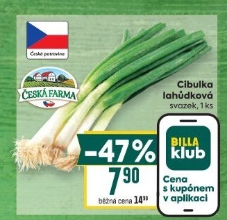 Jarní cibule svazek Česká farma
