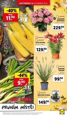 akční leták Lidl 7.8.2025-10.8.2025