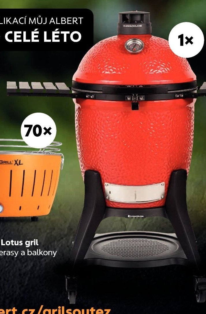 Kamado Joe grill