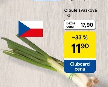 Jarní cibule svazek