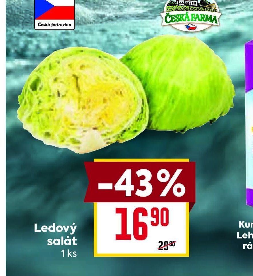 Ledový salát