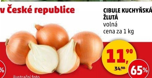 Cibule kuchyňská žlutá