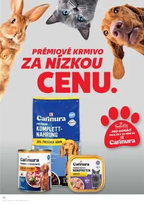 akční leták Kaufland 13.8.2025-19.8.2025