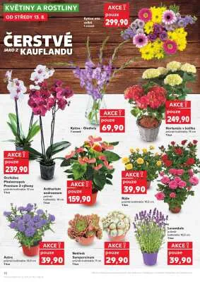 akční leták Kaufland 13.8.2025-19.8.2025