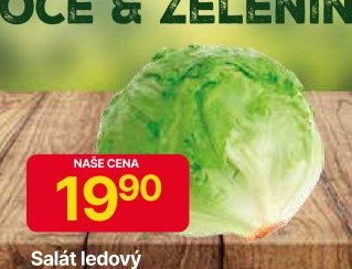 Salát ledový