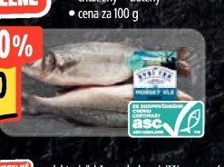 Mořský vlk - kuchaný
