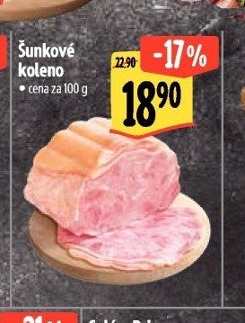 Šunkové koleno