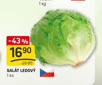 SALÁT LEDOVÝ