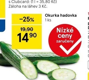 Okurka salátová - hadovka