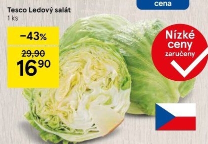Salát ledový Tesco