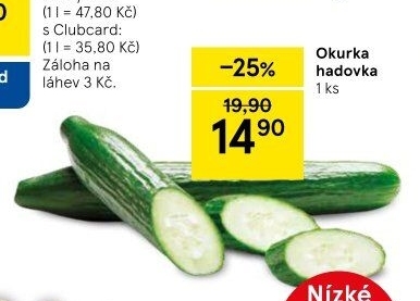 Okurka salátová - hadovka