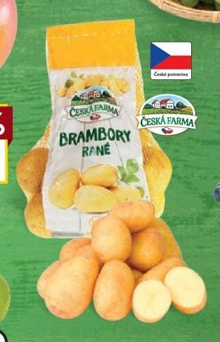 Brambory rané