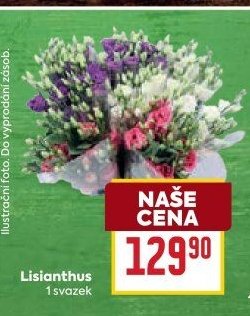 Lisianthus