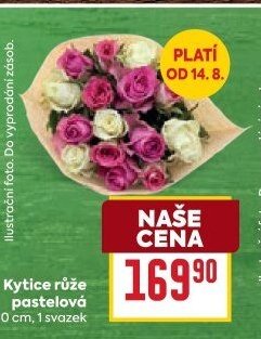 Kytice růže pastelová