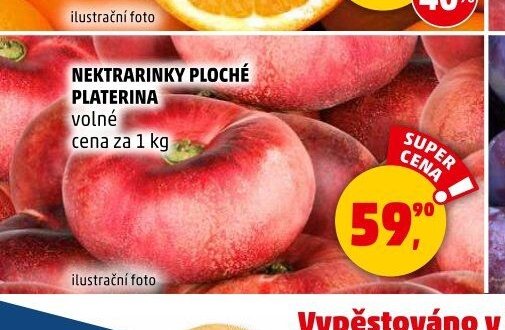NEKTRARINKY PLOCHÉ PLATERINA