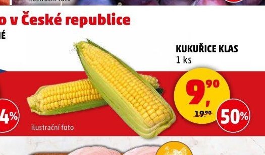 KUKUŘICE KLAS