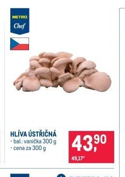 HLÍVA ÚSTŘIČNÁ