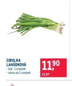 CIBULKA LAHŮDKOVÁ