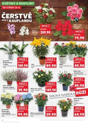 akční leták Kaufland 20.8.2025-26.8.2025